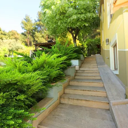 Cheerful 9-Bedroom Villa With Pool Villa