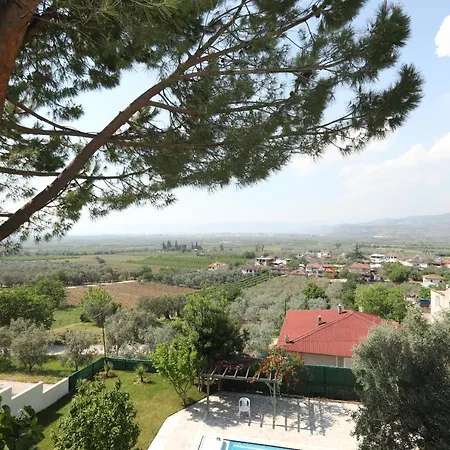 Cheerful 9-Bedroom Villa With Pool